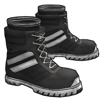 Training Boots