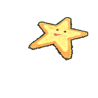 Starfish Rug