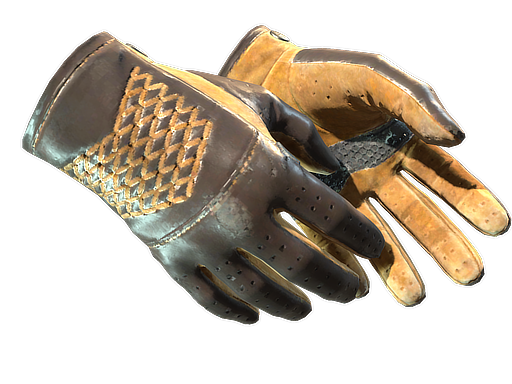 ★ Driver Gloves | Overtake (Field-Tested)