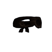 Burglar Mask