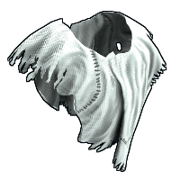 Ghost Guise Poncho