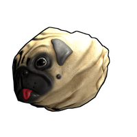 Pug Rock