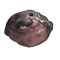 Baby Hippo Rock