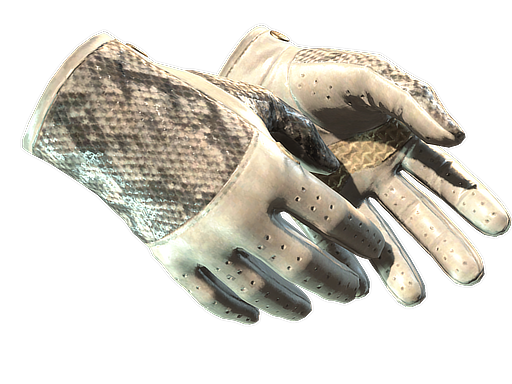 ★ Driver Gloves | King Snake (Minimal Wear)