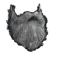 Santa Beard