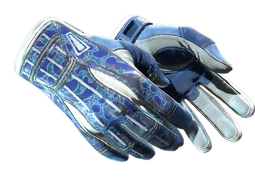 ★ Sport Gloves | Amphibious (Field-Tested)