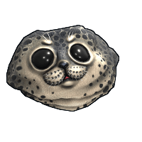 Harbor Seal Rock