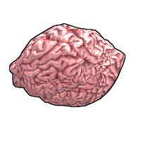 Fresh Brain