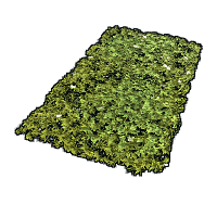 Grass Rug