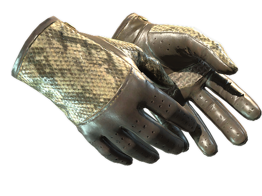 ★ Driver Gloves | Diamondback (Factory New)