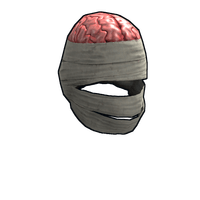Wrapped Brain