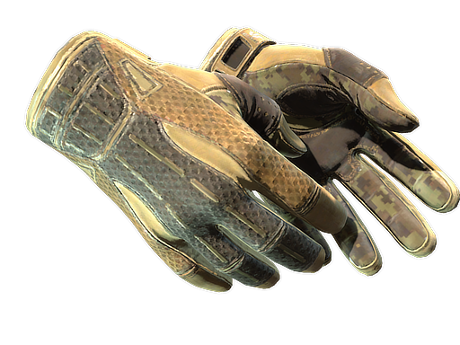 ★ Sport Gloves | Arid (Well-Worn)