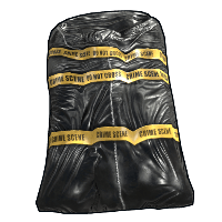 Crime Bag