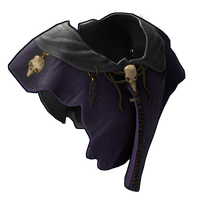 Witch Hide Poncho