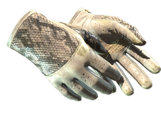 ★ Driver Gloves | King Snake (Field-Tested)